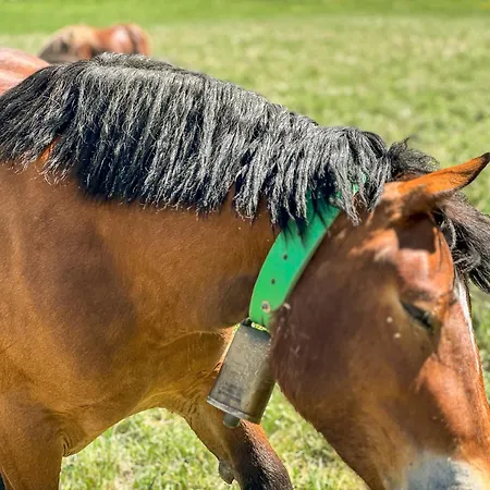 La Maison Du Fleuve * Ur