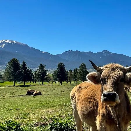 La Maison Du Fleuve Domek alpejski *