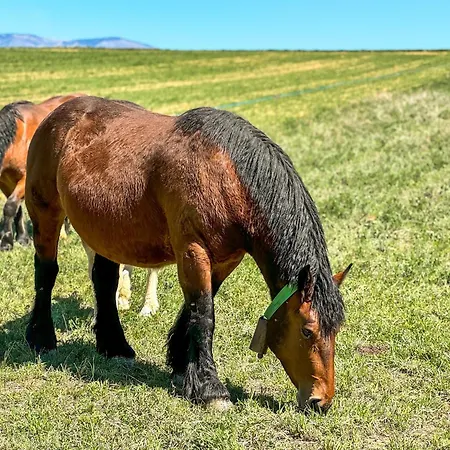 Chalé La Maison Du Fleuve Ur